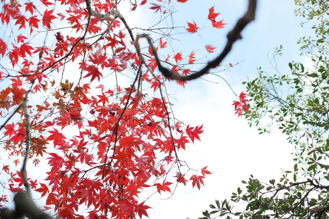 Ryokan Tanoya Kyoto Eksteriør bilde